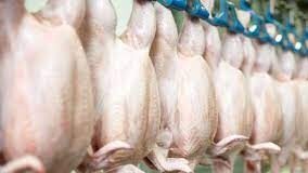 An overview of Poultry Meat Processing