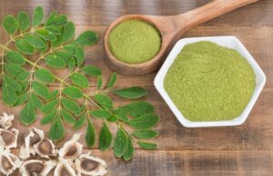 Check, Assessment, and Revalidation of Standard Botanical Powders