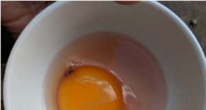 Blood spots- optimum Egg quality