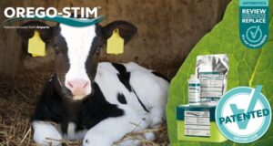Anpario Awarded UK Patent for Orego-Stim, the Composition of Which Reduces Antimicrobial Resistance in Calves