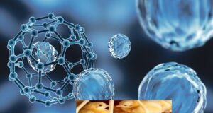 Nutritional Implications of Nanotechnology in Poultry Production