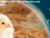 Immunomodulation – Role of Nutrition and Phytobiotics