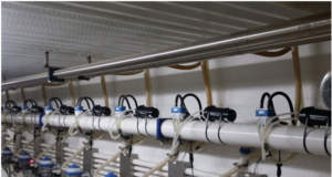 New Age Technologies: A Boom to the Dairy Industry