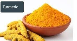 Turmeric Oil/Curcumin inclusion in broiler feed holds promise compared to regularly used in-feed antibiotic growth promoters – A scientific research study