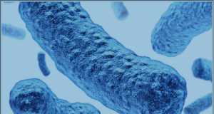 Probiotics Work With or Without Antibiotics