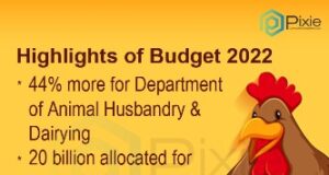 What does the budget 2022 hold for the Poultry Industry?