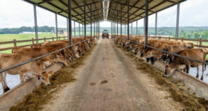 Dairytech startup Stellapps secures funding from IDH FarmFit
