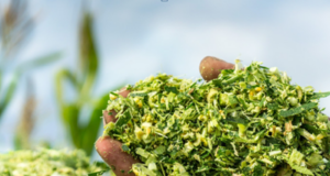 Bacterial Silage Inoculants vs. Organic Acids