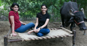 Animall: Cattle trade Start-Up