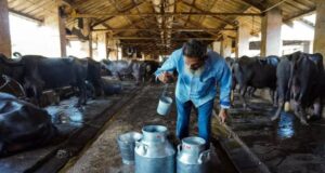 Acquisition of Sri Krishna Milks by Dodla Dairy for Rs.50 Crore
