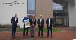 Hendrix Genetics and Chi Farms expand partnership for increasing Layers production