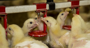 Water quality without worries