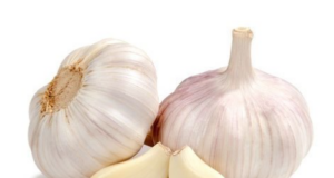 Garlic: A potential alternative to in feed antibiotics as growth promoter in Poultry production