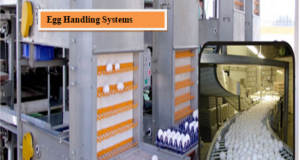 Automation In Poultry Housing