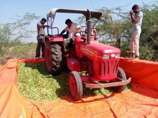 Silage Making