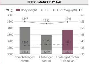 performance of broilers