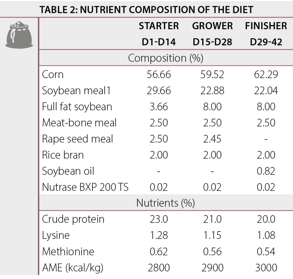 performance of broilers