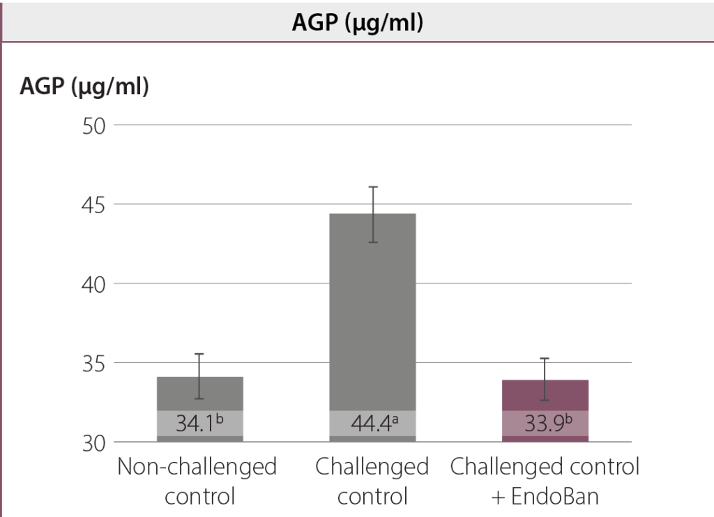 performance of broilers