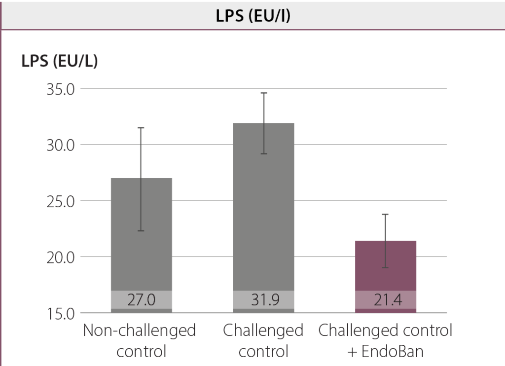 performance of broilers