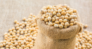 0.55-mt GM soymeal to be imported before September 30, 2022