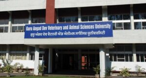 Guru Angad Dev Veterinary and Animal Sciences University celebrates World Milk Day