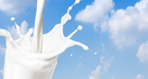 The Odisha dairy farmers’ association wants the milk MSP to be Rs 50 per litre The Odisha dairy farmers' association wants the milk MSP to be Rs 50 per litre