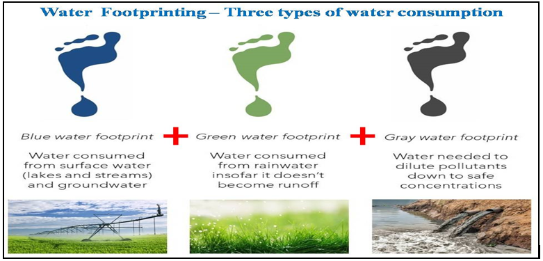 Water footprint