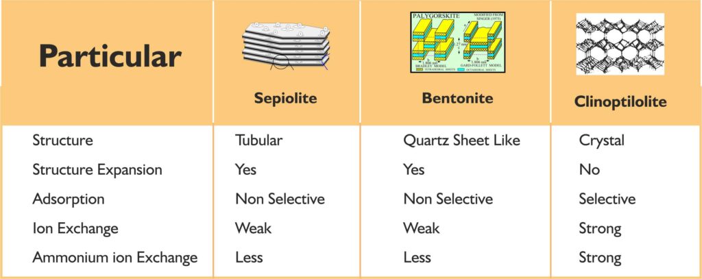 Comparison of different clays used as mycotoxin binder