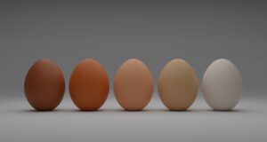 Functional Properties of Egg Functional Properties of Egg
