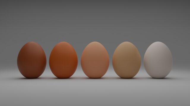 Functional Properties of Egg