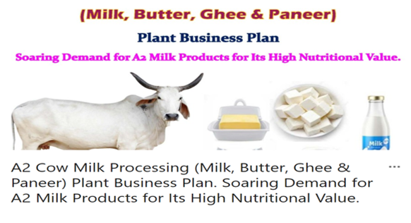 Nutritional Value of Dairy Products