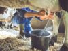 Clean Milk Production, Milk Hygiene and Udder Health: A Need for Healthy Society Clean Milk Production Milk Hygiene and Udder Health A Need for Healthy Society