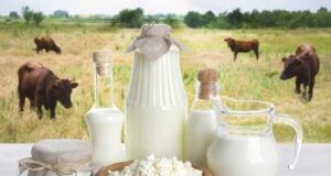 Dairy By-products and It’s Utilization