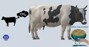 Methane Emission From Livestock and its Mitigation Strategies Methane Emission From Livestock and its Mitigation Strategies