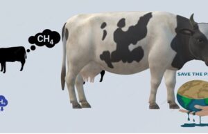 Methane Emission From Livestock and its Mitigation Strategies Methane Emission From Livestock and its Mitigation Strategies