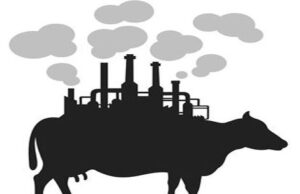 Role of Livestock in Methane Emission: An Indian Perspective Role of Livestock in Methane Emission: An Indian Perspective