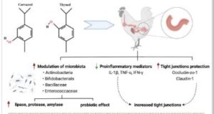 Carbohydrases and intestinal health in poultry 1 Carbohydrases and intestinal health in poultry