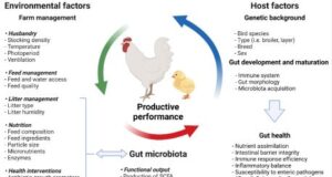 POULTRY GUT HEALTH MANAGEMENT Dr. Gopal Barapatre B.V.Sc. & A.H. Asst. Product Manager, Biozene