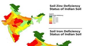 Demand of “Area specific mineral mixture” at current scenario: Demand of “Area specific mineral mixture” at current scenario: