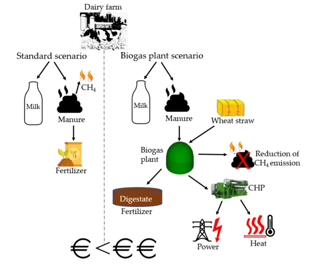 How Dairy Farms Can Benefit by setting up Biogas Plant