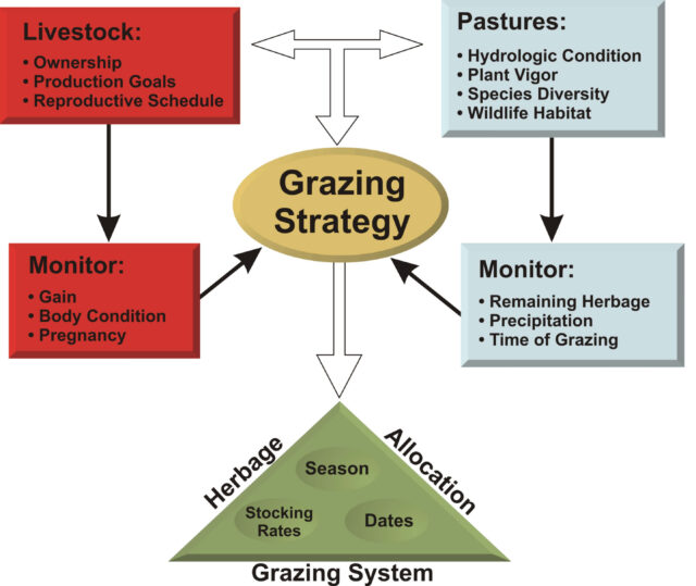 Winter Breeding Management: Strategies for Success