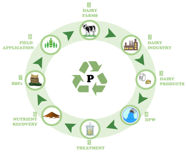 Unlocking the Potential of Dairy By-Products: A Sustainable Path to Innovation