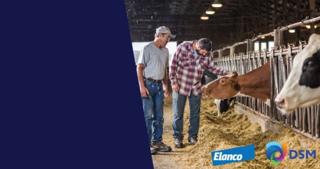 Athian and Elanco Animal Health Team Up to Transform Food Production through Methane Reduction