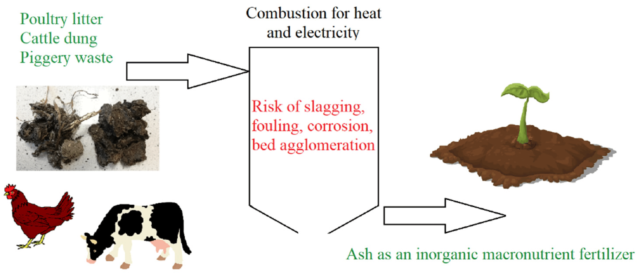 Biomethanation – An Economical Solution for Poultry Litter Management