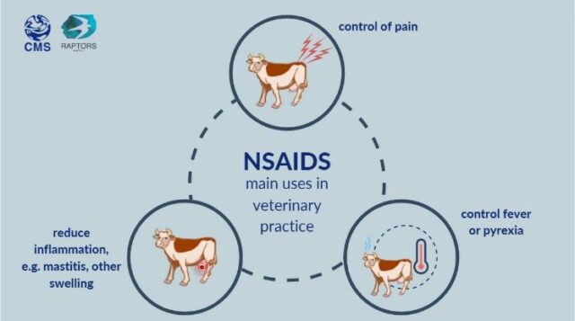 VETERINARY NSAIDS AND THE ENVIRONMENTAL SAFETY