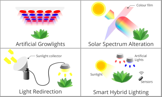 Importance of photoperiod in Livestock production performance