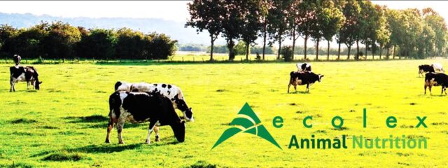 Hot-Off-The-Press Announcement: Ecolex Animal Nutrition making a Grand Entry into India