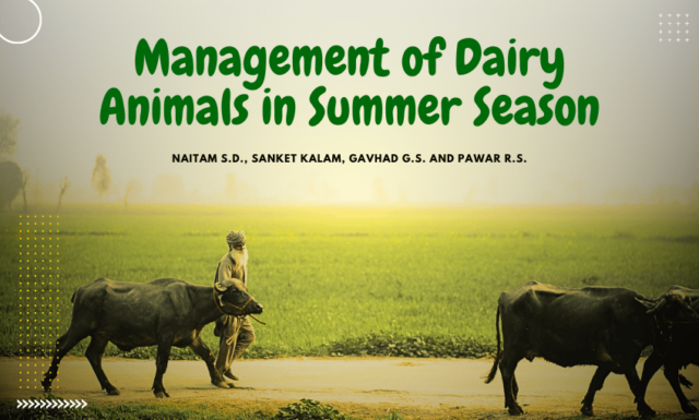 SUMMER STRESS MANAGEMENT IN DAIRY ANIMALS