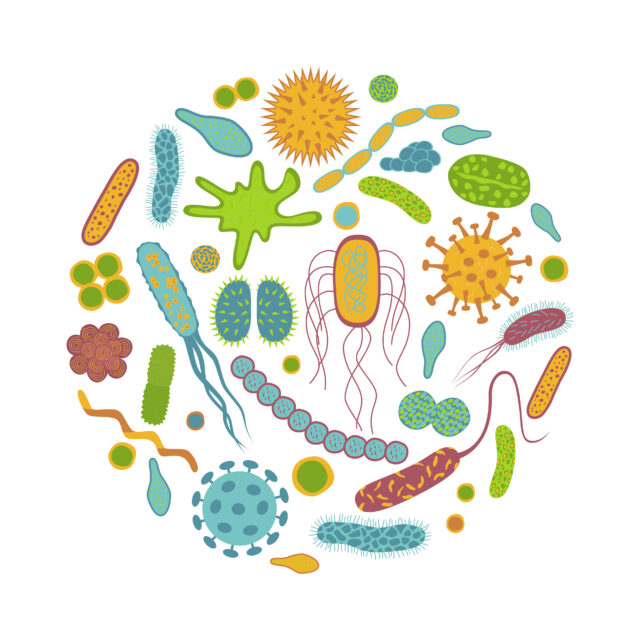Navigating Antimicrobial Resistance: Challenges, Opportunities, and Holistic Solutions