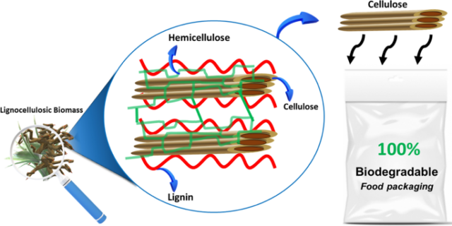 Renewable Cellulosic Nanocomposite: A Miracle in the Food Packaging